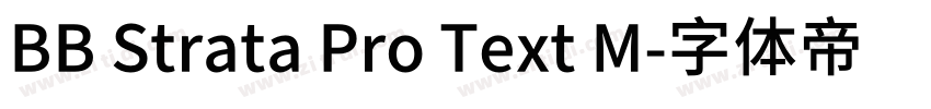 BB Strata Pro Text M字体转换